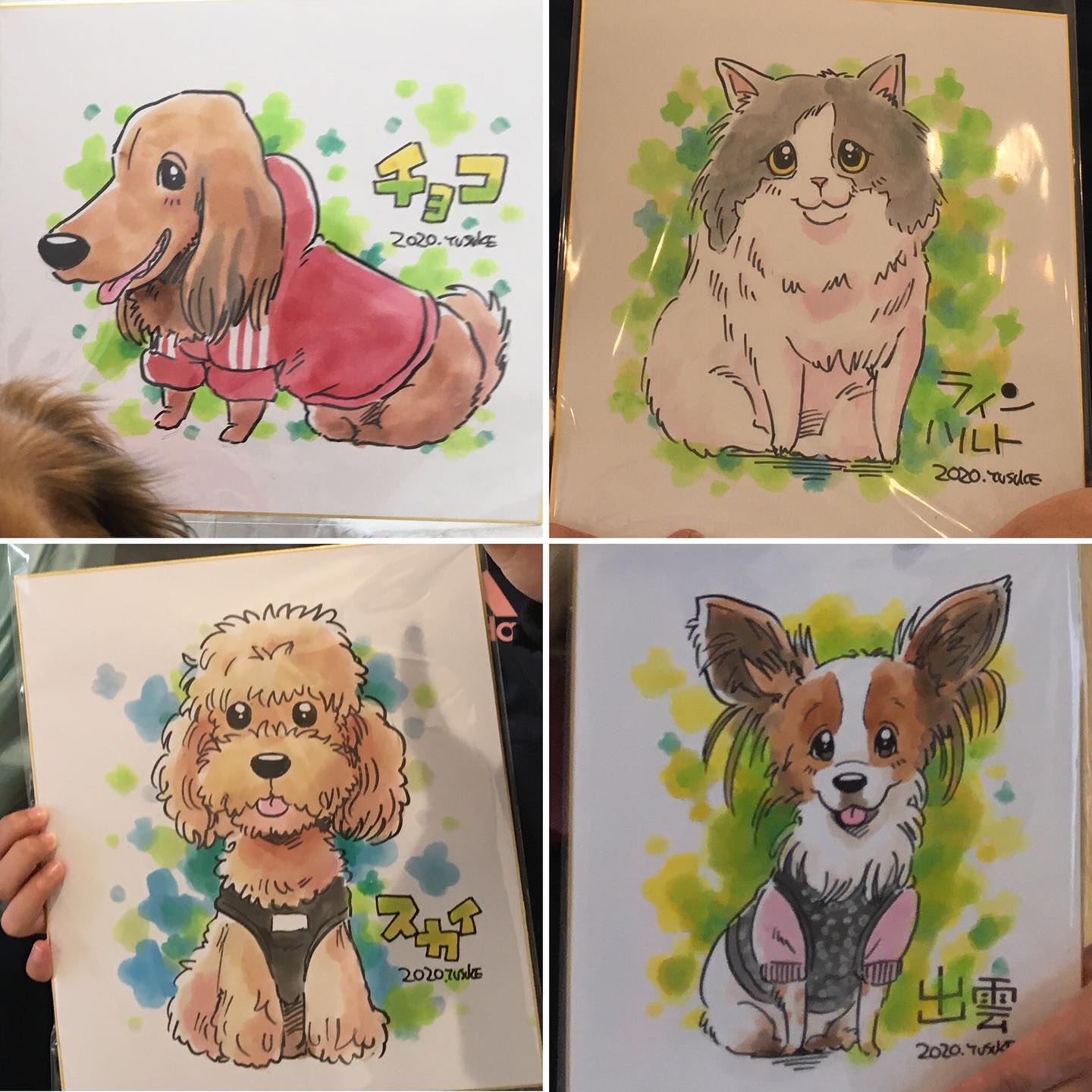 90182300_2674872679228468_6011871139612065792_o