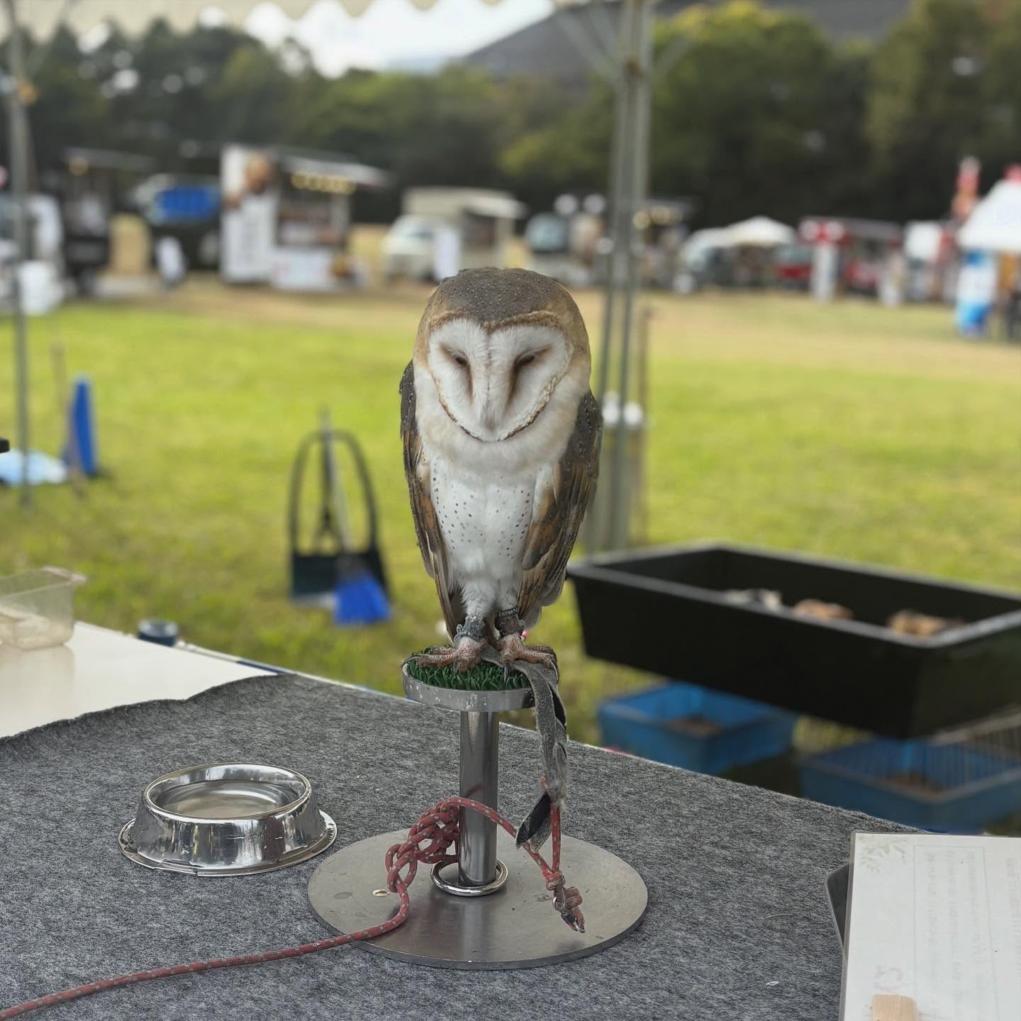 575129607_18555666373016362_3800678670088840630_n